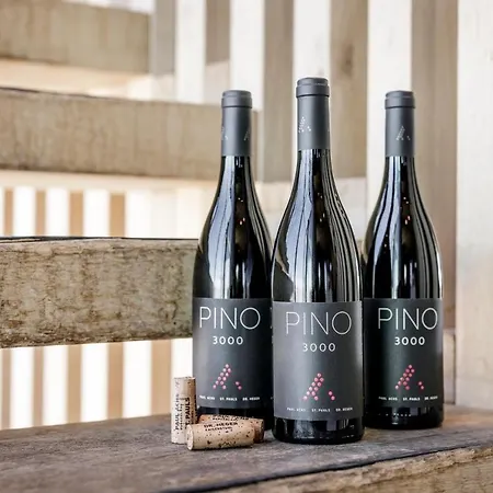 - Alpine . Luxury . Life 5* Sölden